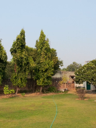 screenshot_1739863020708